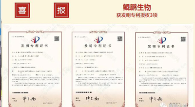 竞技宝jjb生物 | 核心平台技术获得中国发明专利