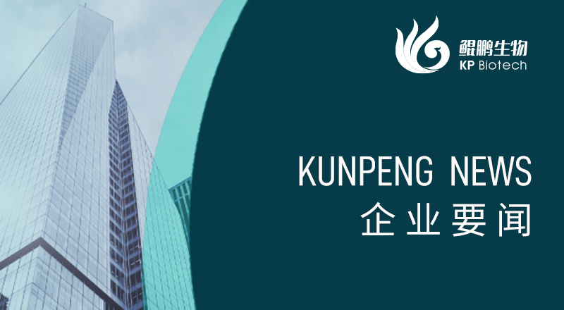 科技引领 “兔”显创新——宁波竞技宝jjb荣获“高新技术企业”及“创新型中小企业”认定